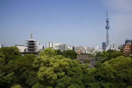 b:Conte Asakusa - 20