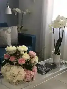 Al Parco Primavera b&b - 39