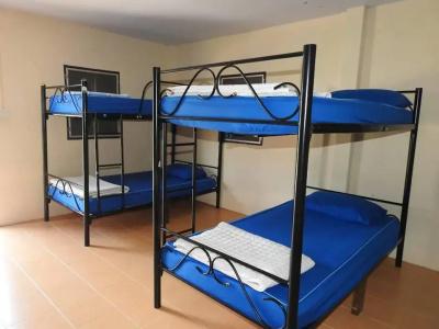 Phangan Arena Hostel - 16
