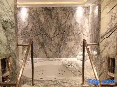 The Grand Mansion, A Luxury Collection, Nanjing - 66