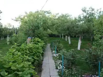 Морячка - 10
