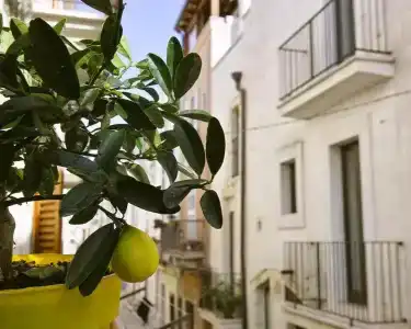 Dimora Nonna Rosa - 3