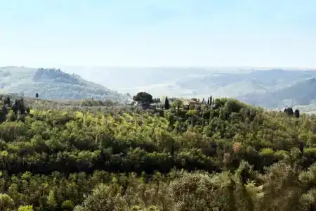 Villa Il Fedino - 53