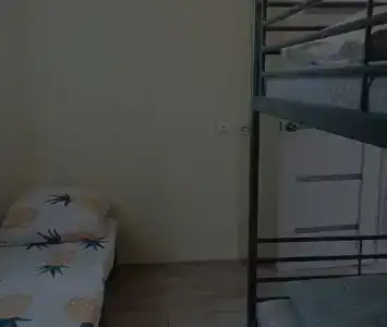 Астера - 10