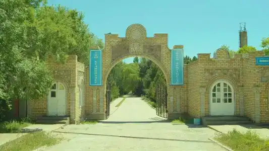 Тулпар - 12