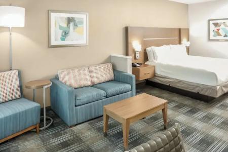 Holiday Inn Express & Suites - Houston Westchase - Westheimer, an IHG - 77