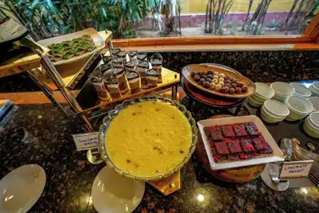 Brahmi Wellness Retreat & Spa - 7