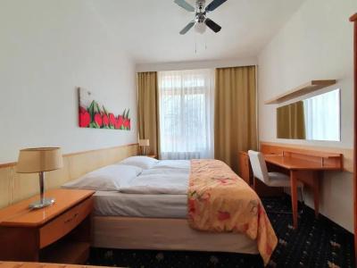 Jana / Pension Domov Mládeže - 39