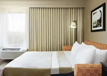 Hampton Inn Dallas-Irving-Las Colinas - 68