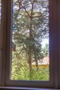 Palanga Park, Tubinass - 242
