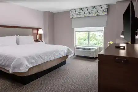Hampton Inn & Suites Crystal City Dca - 4