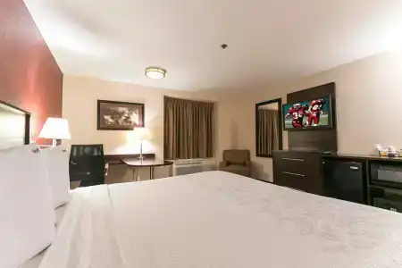 Red Roof Inn Plus+ San Antonio Downtown - Riverwalk - 46