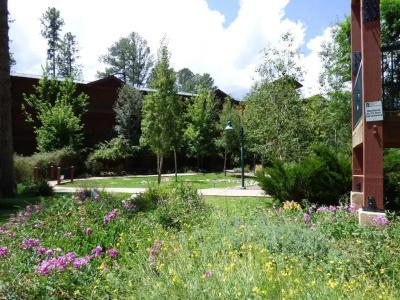 Ruidoso River Resort Condos - 63