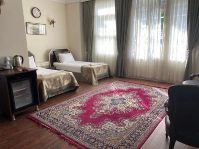 Villa Sofia - 58
