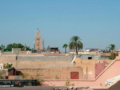 Riad Timila - 26