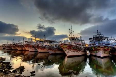 Dolphin Ras El-Bar - 43