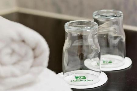 Holiday Inn Vienna City, An Ihg - 88