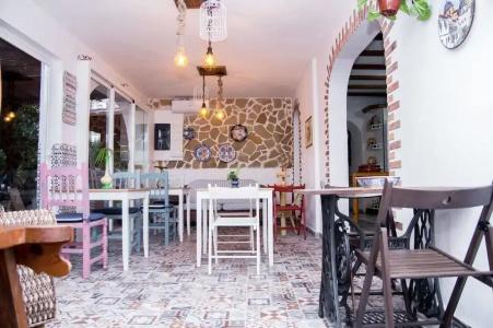 Altea Paradise 1917 - Adults Only - 31