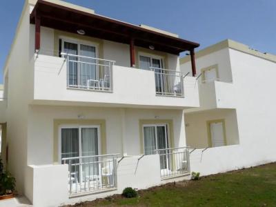 Viras - 49