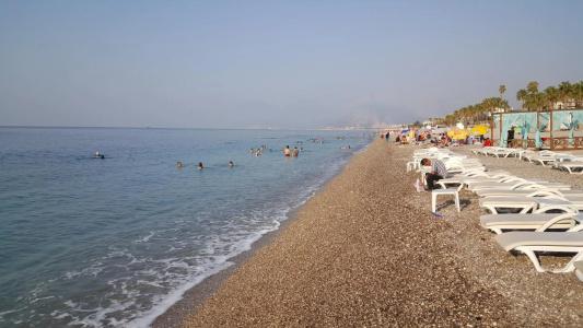 Kartal - 16