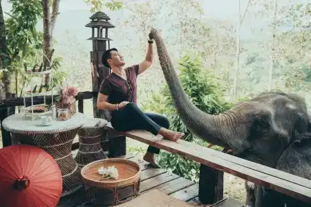 The Chai Lai Orchid - 17