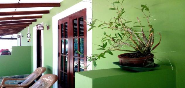 Sigiriya Rock Gate Resort - 12
