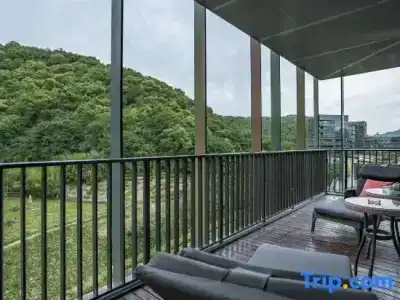 Hangzhou Phoenix Creative - 26