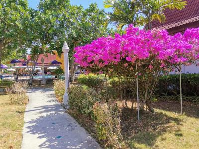 Holiday Villa, Lanta - 14