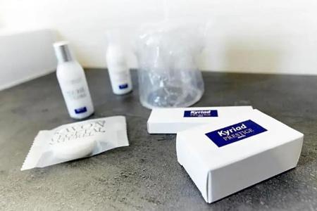 Kyriad Prestige Vannes Centre-Palais des Arts - 62