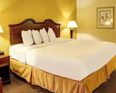 Quality Inn North - 3