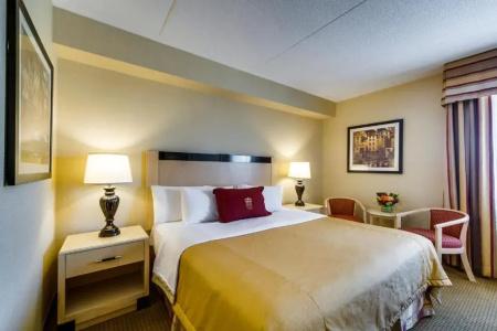 Monte Carlo Inn - 31