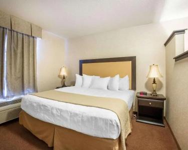 Quality Inn & Suites - 39