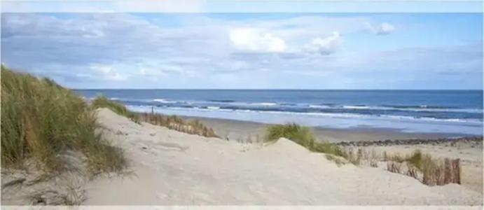 Moin Cuxhaven - 24