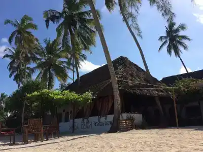 Simba Beach Zanzibar - 13