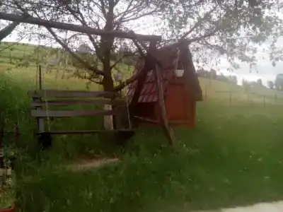 Барвінок - 13