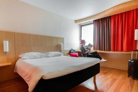 ibis Angers Centre Chateau - 45