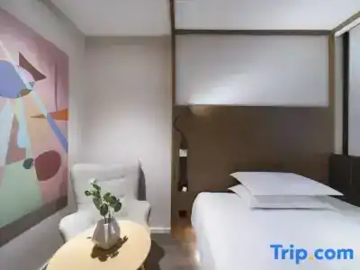 Hanting Premium Nanjing Xuanwumen - 14
