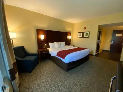 Comfort Suites North - 45