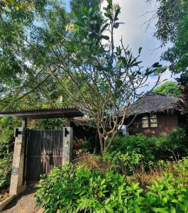 Haad Chao Phao Resort - 152