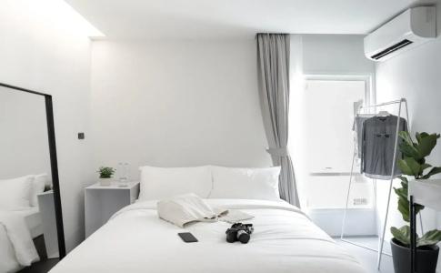 Chocolate box mint - 3