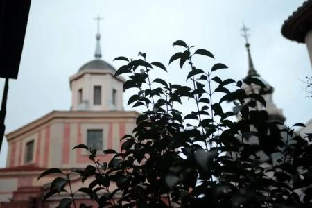 Horizonte - 22