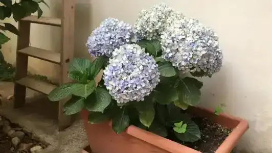 b&b La Casa Di Paola - 50