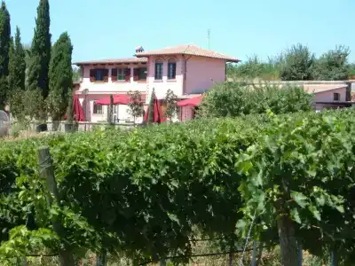 Azienda Agricola Sinisi - 10