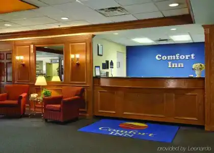 Comfort Inn Downtown - 1