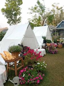 Baan JaoKorKluay บ้านเจ้ากอกล้วย - 4