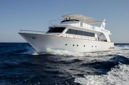 Camel Dive Club & - Boutique - 24