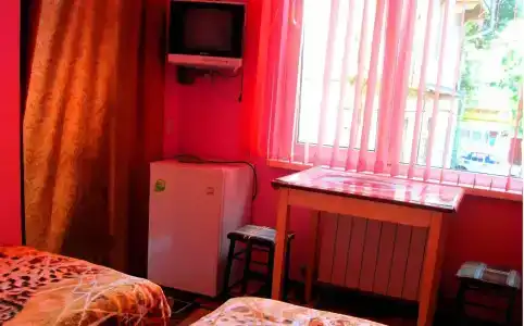 Лиана - 5
