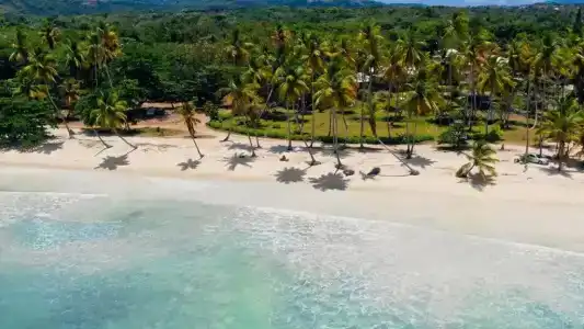Paradiso del Caribe - 156