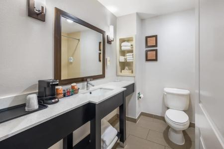 Comfort Inn & Suites West - Lookout Mountain - 9