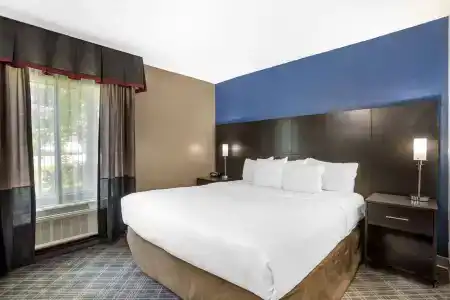 Comfort Suites Airport Nashville - 57